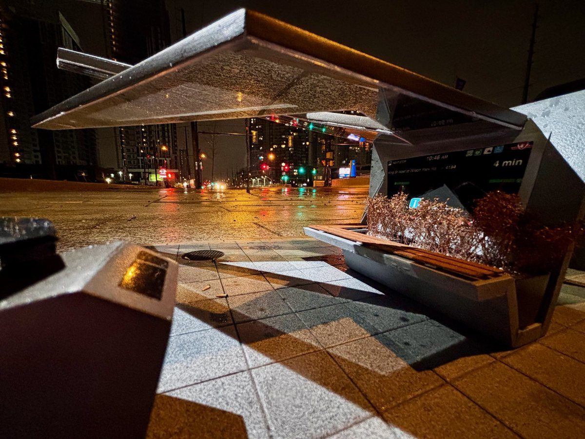 Bus Shelter build archive: under canopy